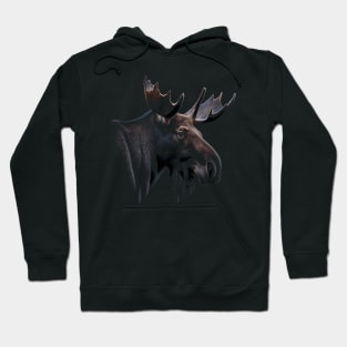 Majestic Moose Stunning Portrait Hoodie